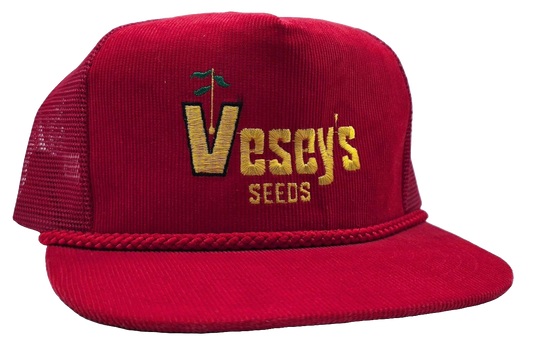 Original Vintage Vesey's Seeds