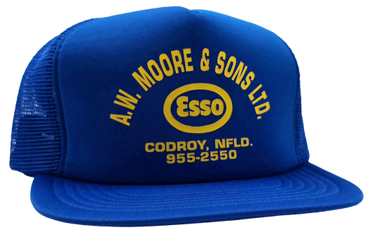 Original Vintage ESSO Codroy Valley