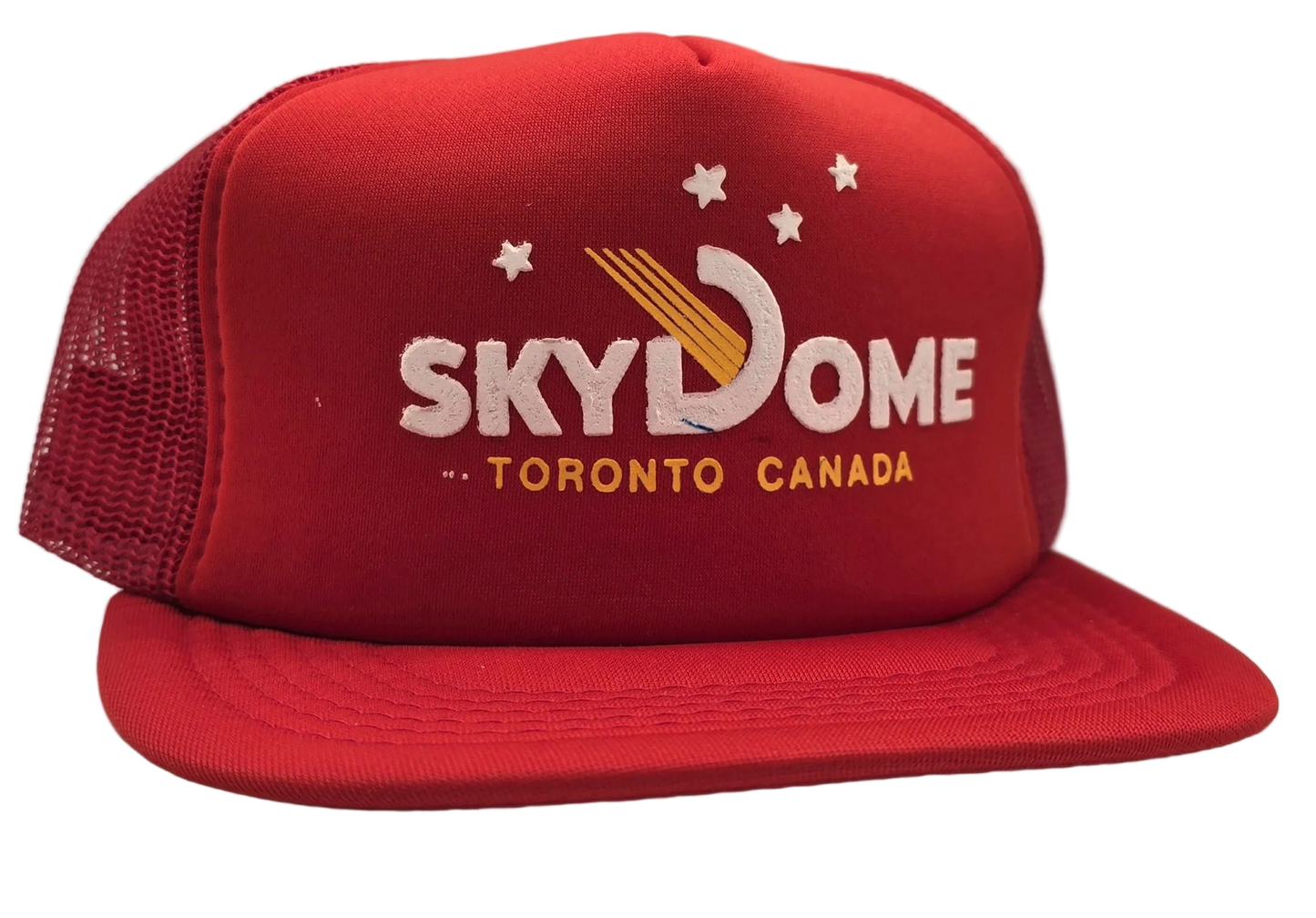 Original Vintage SkyDome