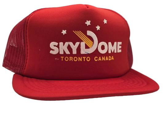 Original Vintage SkyDome